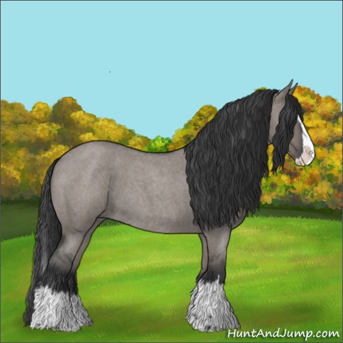 Horse Color:Grullo Roan Splash 
