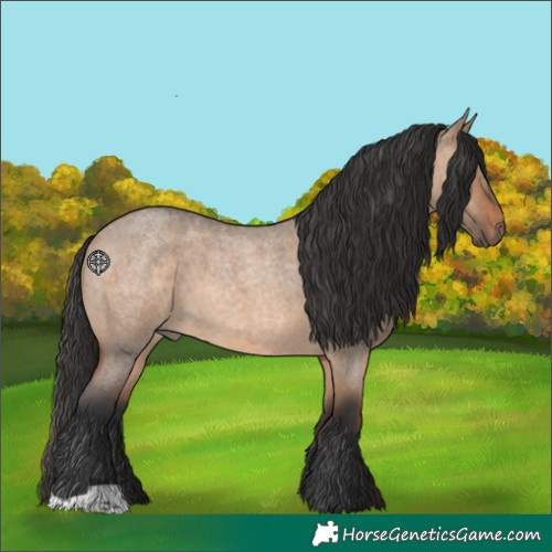 Horse Color:Brown Roan Dun 