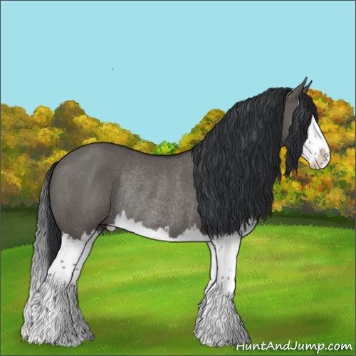 Horse Color:Grullo Splash Rabicano 
