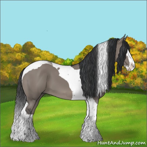 Horse Color:Grullo Splash Tobiano 