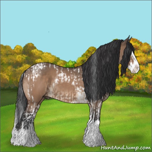 Horse Color:Brown Dun Splash Tobiano  and Brown Dun Sabino Splash 