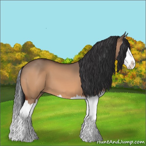 Horse Color:Bay Dun Splash 