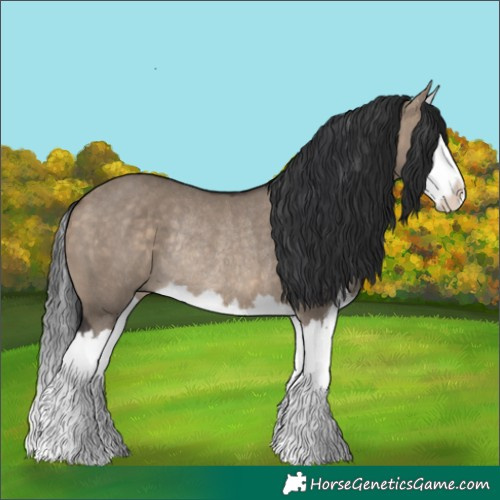 Horse Color:Brown Dun Sabino Splash Rabicano 
