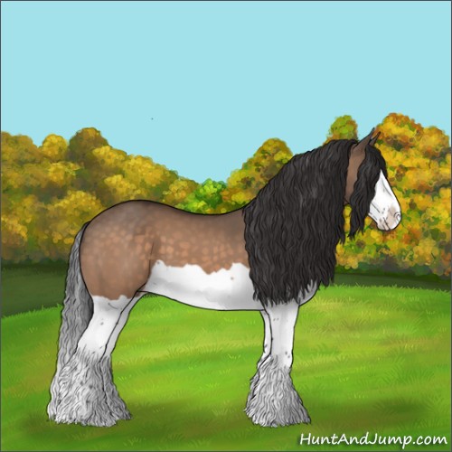 Horse Color:Brown Dun Splash 