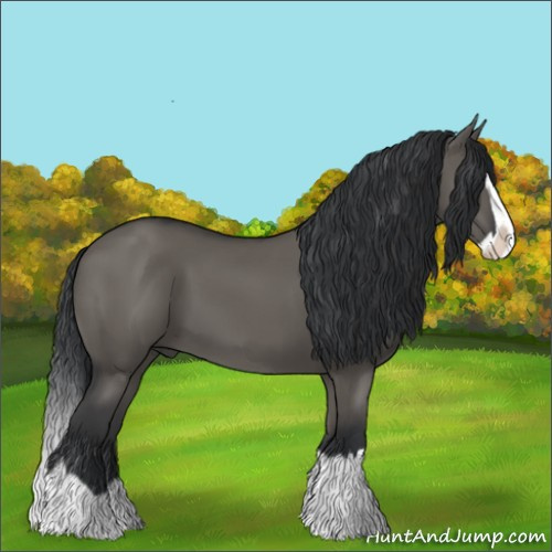 Horse Color:Grullo Splash 