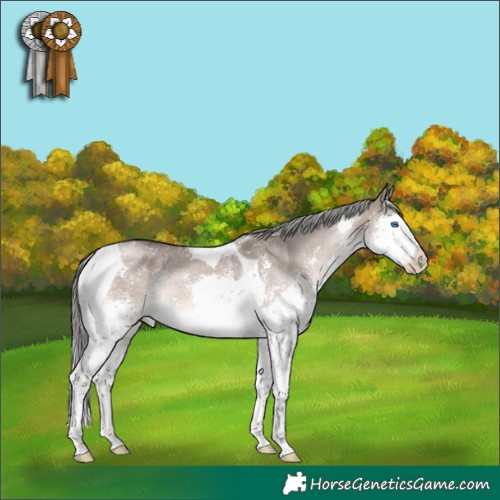 Horse Color:Liver Red Dun Mushroom Sabino Splash Tobiano 