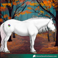 Horse Color:Watercolor White Spotted Chestnut Sabino Appaloosa 