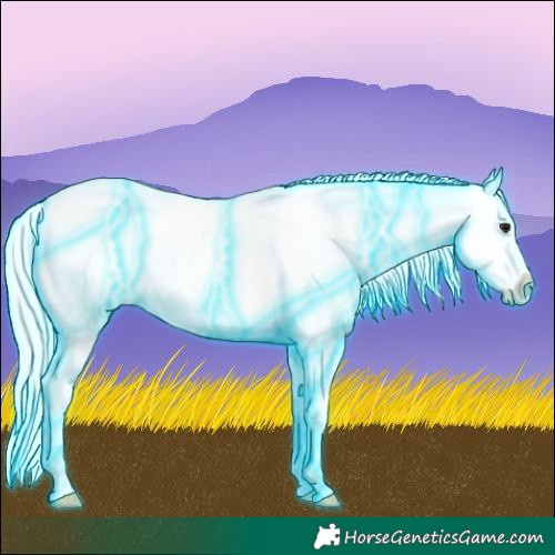 Horse Color:Thunderstruck White Spotted Silver Bay Appaloosa 
