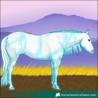 Horse Color:Thunderstruck White Spotted Silver Bay Appaloosa 