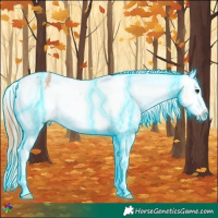 Horse Color:Thunderstruck Watercolor White Spotted Chestnut Sabino Appaloosa