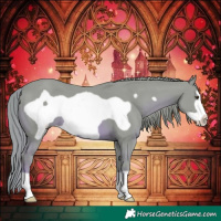 Horse Color:Watercolor Chestnut Frame