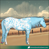 Horse Color:Watercolor Black Appaloosa 