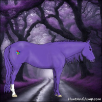 Horse Color:Watercolor Black 
