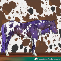Horse Color:Watercolor White Spotted Brown Ice