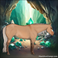 Horse Color:Silver Bay Dun 