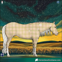 Horse Color:Plaid Silver Amber Champagne Tobiano Rabicano