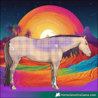 Horse Color:Plaid  Amber Champagne Sabino Rabicano 