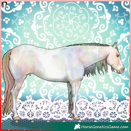 Horse Color:Nacre Gold Champagne Roan Dun Tobiano Frame Rabicano 