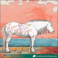 Horse Color:Nacre Gold Champagne Appaloosa
