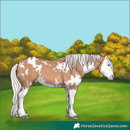 Horse Color:White Spotted Silver Bay Dun Splash 