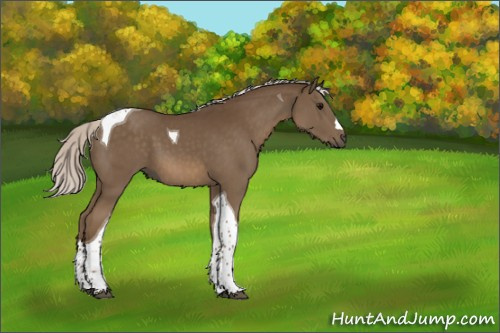 Horse Color:Silver Smoky Black Tobiano 