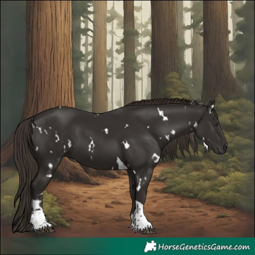 Horse Color:White Spotted Liver Chestnut Tobiano