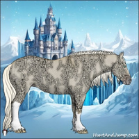 Horse Color:Gold Cream Champagne Ice Dun
