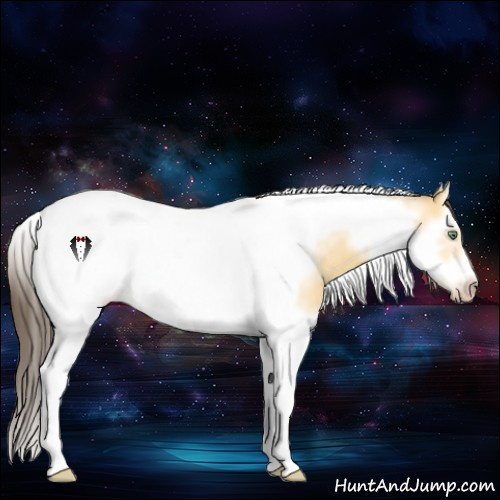 Horse Color:Amber Cream Champagne Dun Sabino Splash Tobiano Frame Rabicano