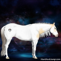 Horse Color:Amber Cream Champagne Dun Sabino Splash Tobiano Frame Rabicano 