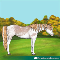 Horse Color:Painted Silver Grullo Splash Tobiano 