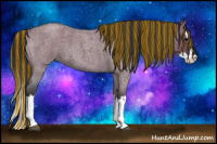 Horse Color:Painted Grullo Roan Splash