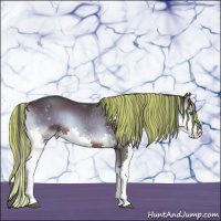 Horse Color:Painted Brown Roan Onyx Sabino Splash