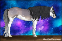 Horse Color:Grullo Onyx Splash 