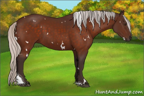 Horse Color:White Spotted Silver Brown Tobiano 