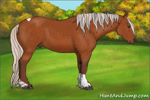 Horse Color:Silver Buckskin Tobiano 