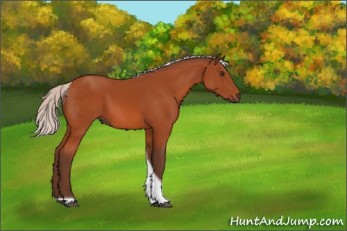Horse Color:Silver Brown Tobiano 