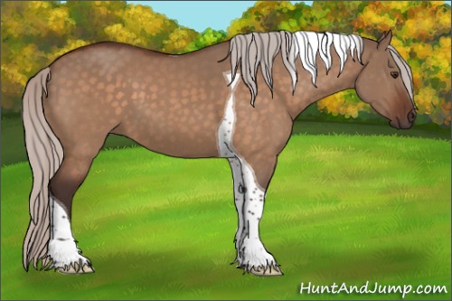 Horse Color:Silver Brown Dun Tobiano 