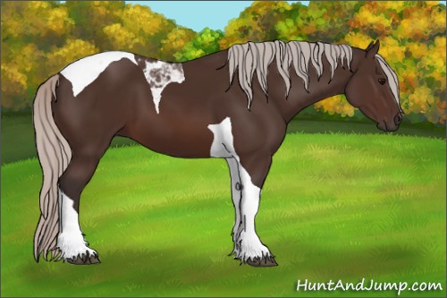 Horse Color:Silver Brown Tobiano 