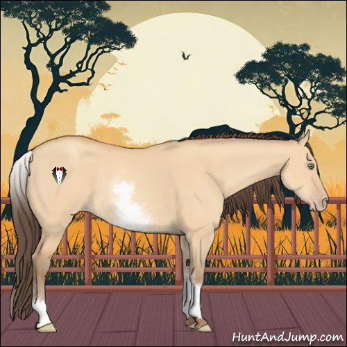 Horse Color:White Spotted Amber Champagne Dun