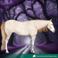 Horse Color:Red Dun Roan Splash 