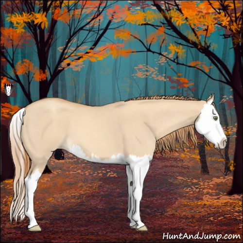 Horse Color:Gold Champagne Roan Dun Splash