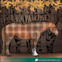 Horse Color:Plaid  Bay Sabino 