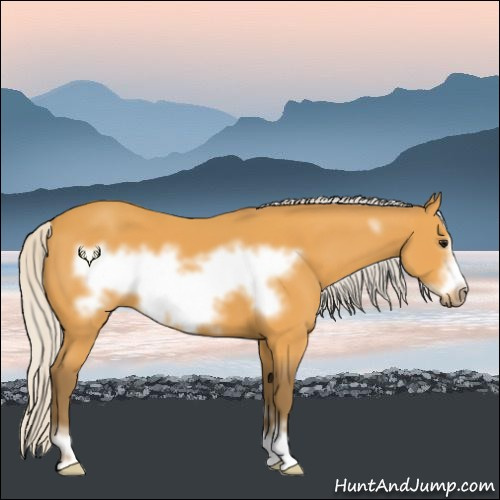 Horse Color:Silver Buckskin Sabino Frame 