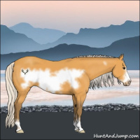 Horse Color:Silver Buckskin Sabino Frame 