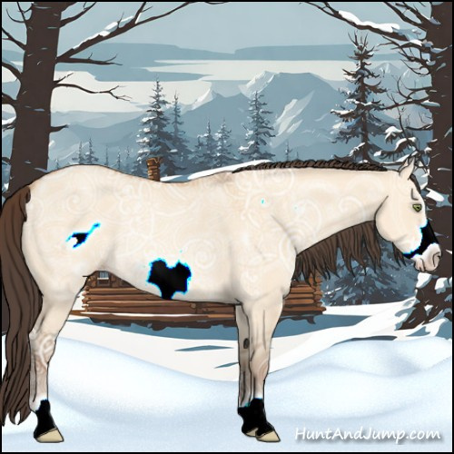 Horse Color:Amber Champagne Ice Dun Frame Rabicano