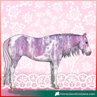 Horse Color:Watercolor Silver Buckskin Ice Sabino Tobiano Rabicano
