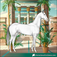 Horse Color:White Spotted Grullo Splash 