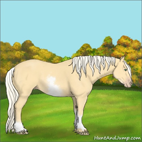 Horse Color:White Spotted Gold Cream Champagne 