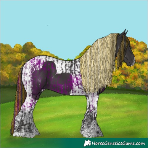 Horse Color:Painted Smoky Black  and Smoky Black Tobiano 