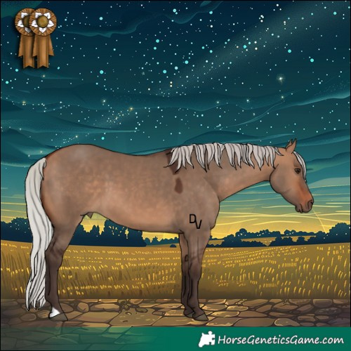 Horse Color:Silver Brown Dun 